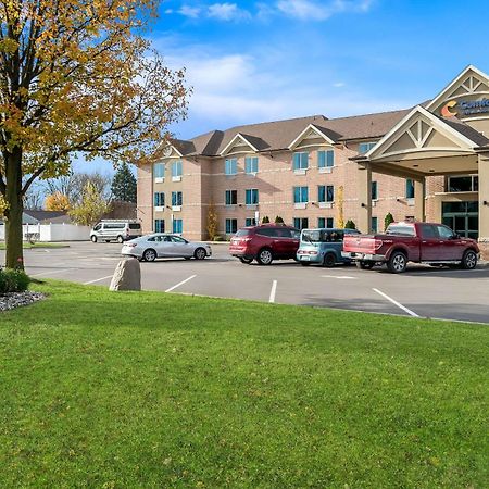 Comfort Inn & Suites Taylor Exterior foto